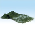 Foliage