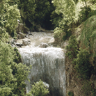 Terrain & Landscape